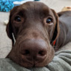 Meet your Posher, Lorie